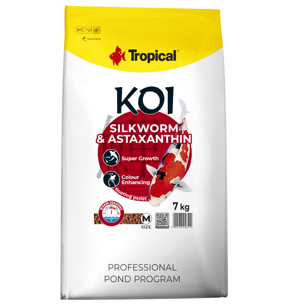 KOI silkworm M 7.jpg